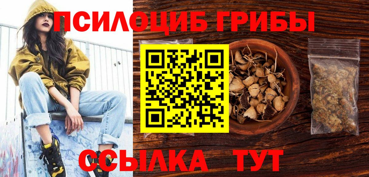 Галлюциногенные грибы ЛСД  Вход с VPN  Сухой Лог 